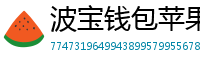 波宝钱包苹果版安装教程